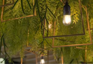 string light bulb s14